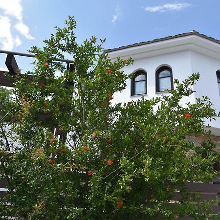 Karpofora Traditional Guesthouse Miléai 外观 照片